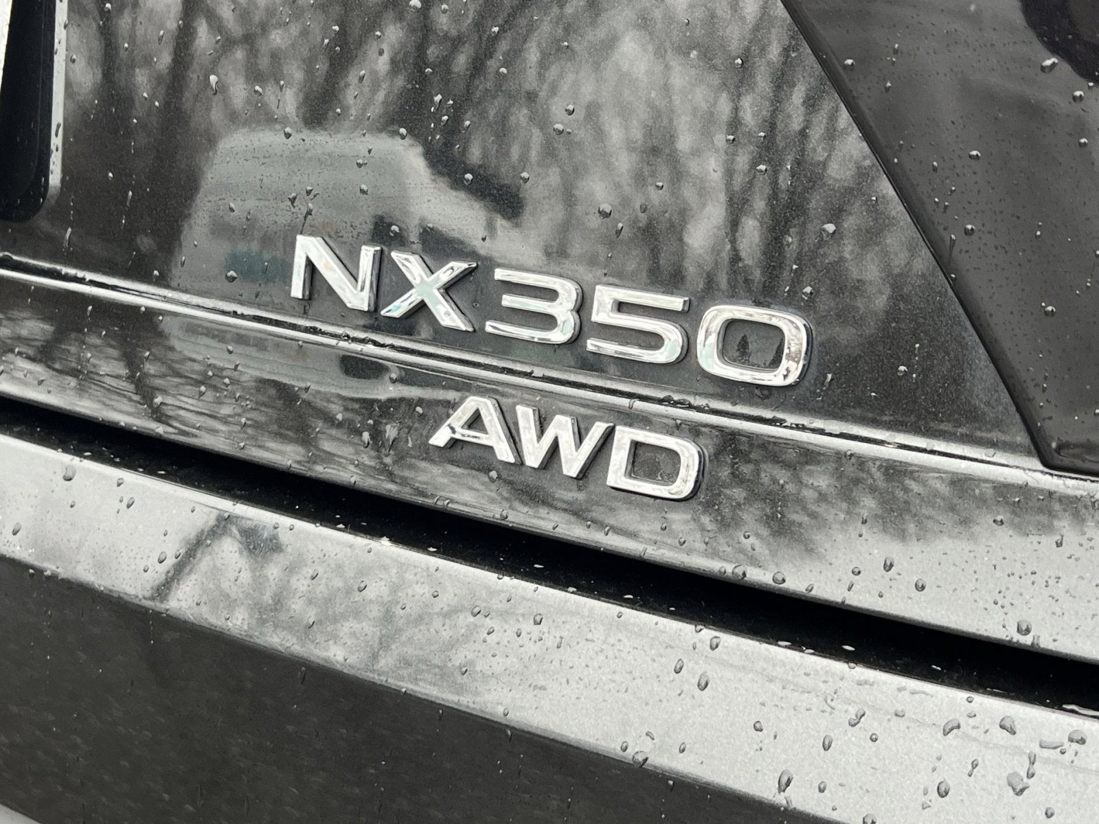 2024 Lexus NX 350 Base