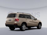 2010 Mercedes-Benz GL-Class GL 550